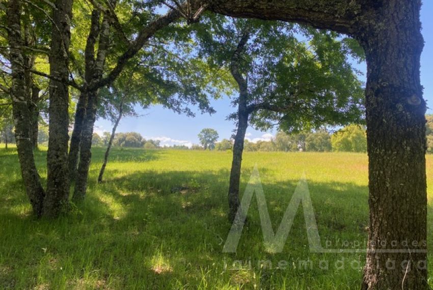 Parcela en Venta en Curacautín